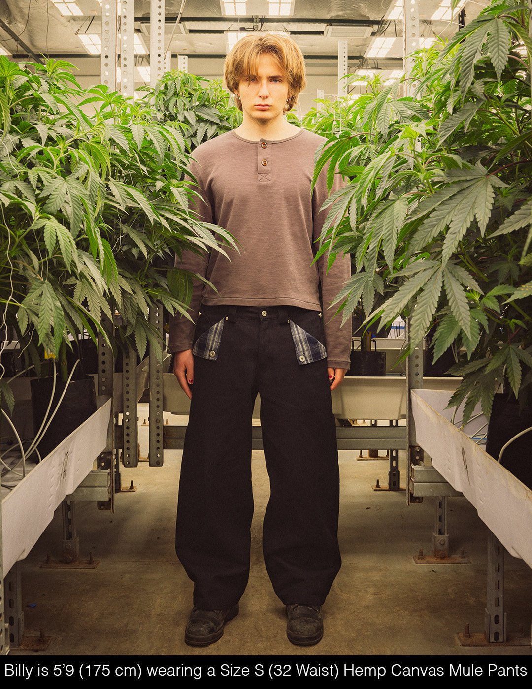 [PREORDER] Hemp Canvas Mule Pants - Wear Wojo